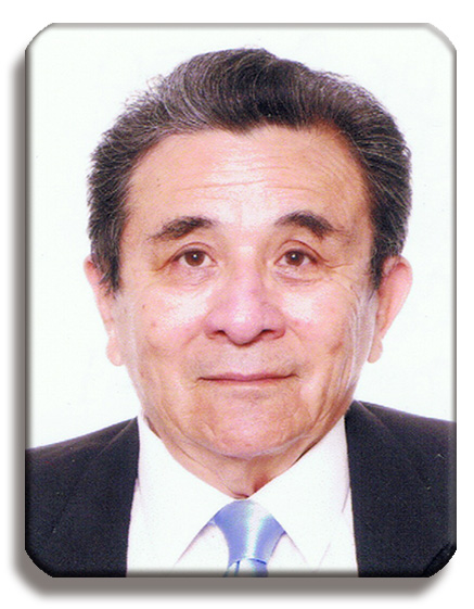 RAMON JAVIER NAVARRO CEBALLOS